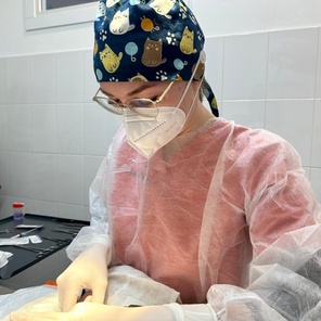 Стоматология