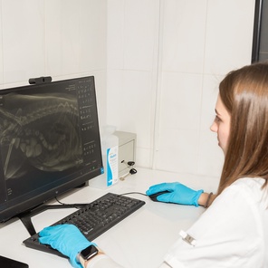 Травматология и ортопедия