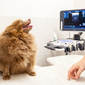 Кардиология