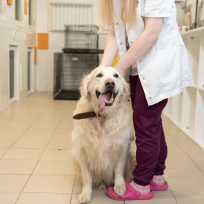 Зоогостиница