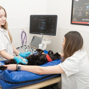 Визуальная диагностика