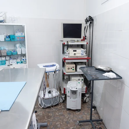 Хирургия и эндоскопия