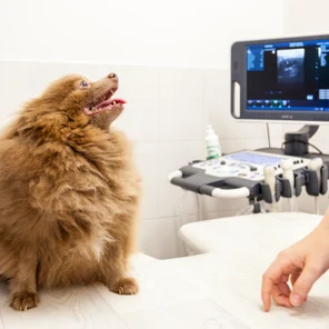 Кардиология