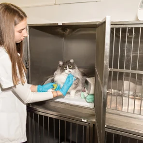 Комфортные стационары