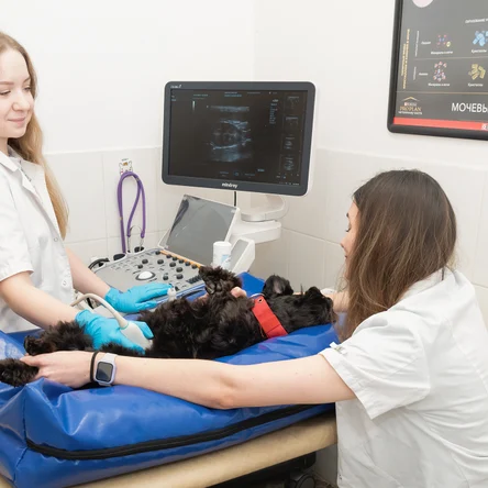 Визуальная диагностика