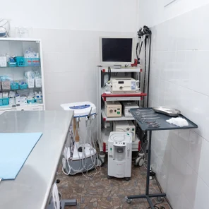 Хирургия и эндоскопия