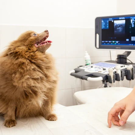 Кардиология